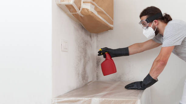 Professional Bathroom Mold Removal technician working in Wellsville, PA