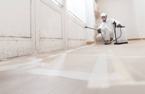 24/7 Emergency Bathroom Mold Removal experts in Wellsville, PA