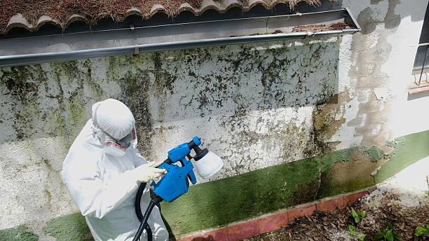 Trusted Mold Remediation service in Wellsville, PA - Cheap Mold Removal